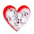 Heart Sample
