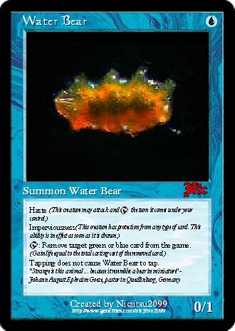 Water Bear