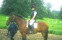 Who said that best view is from a horse???