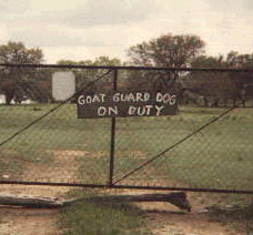Only in Texas