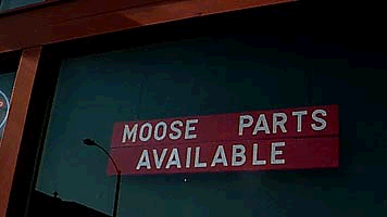 Does a moose need an overhaul or tuneup?