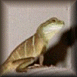 click here