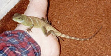 on mommy's foot