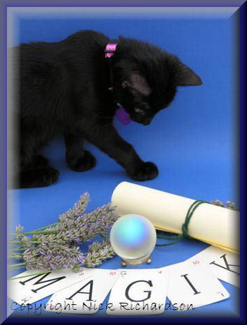 Images of Spells & Magik