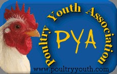 Poultry Youth of America