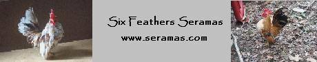 Six Feathers Seramas