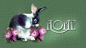 Home and Index