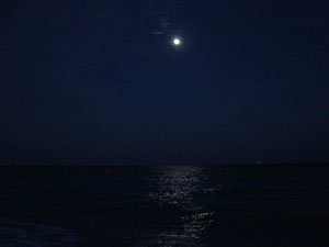 Photo overlooking the moon and the ocean in South Beach Florida.  Photo taken by Nick Peyton.