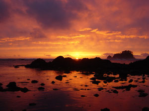 I couldn't believe that I actually took this photo, it was so good.  Photo taken on April 27, 2007 at Cape Alava, WA.