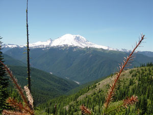 Photo of Mount Rainer taken on Trail #1184 to Noble Knob on July 9, 2006.  Photo by Nick Peyton.