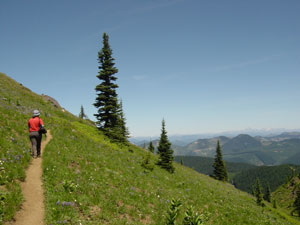 Photo of Kelli and the candy cane like trail. Taken on Trail #1184 to Noble Knob on July 9, 2006.  Photo by Nick Peyton.