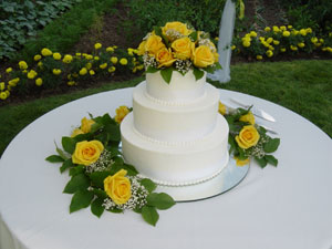 Photo of the wedding cake on August 20, 2005 at Traci's house in Orem, UT. Photo by Nick Peyton.