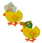 Chicks
