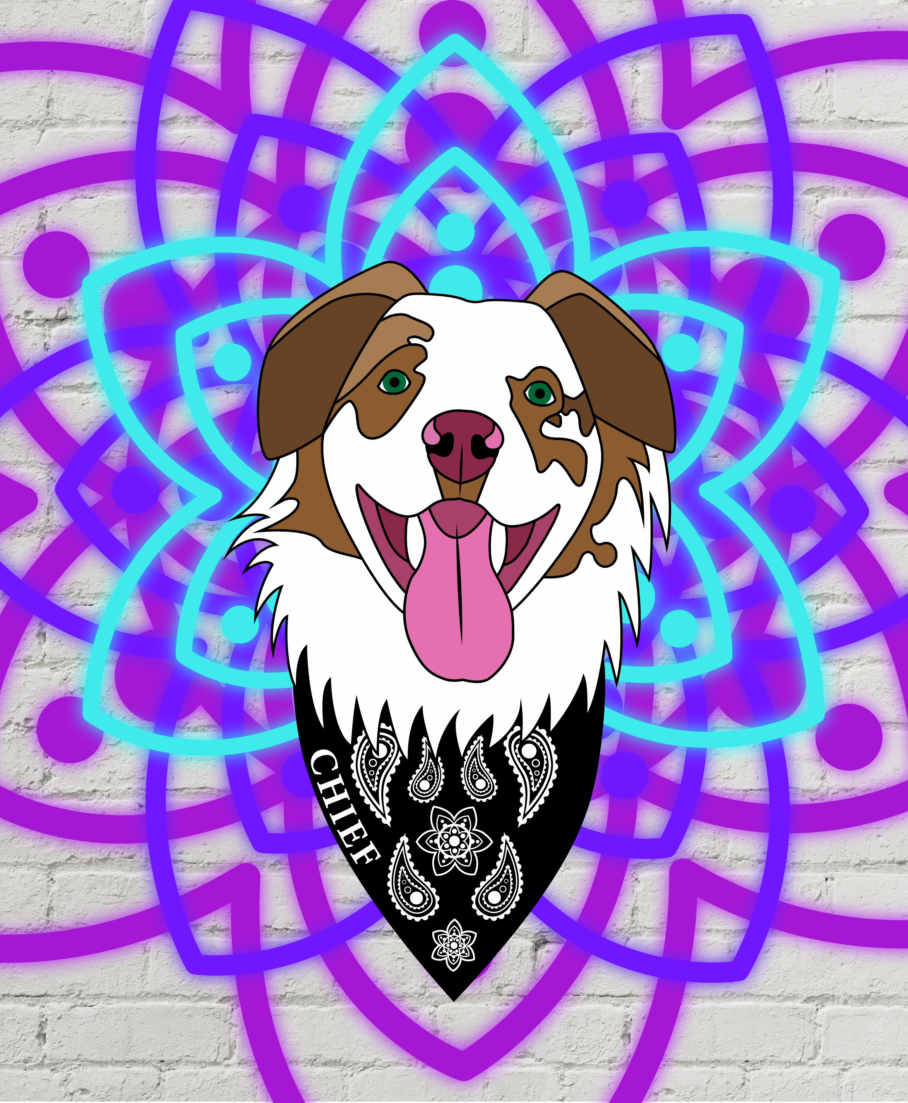 Good Boy Chief