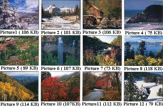 12 Pictures