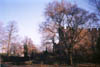 Cardif_Castle_4