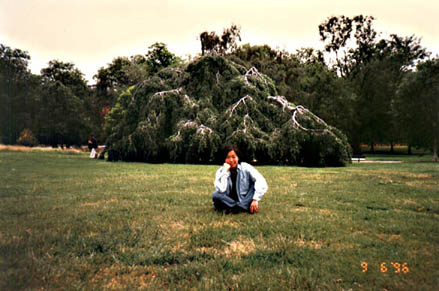 Hyde_Park_2