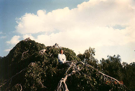 Hyde_Park_3