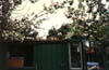 Fox_at_homestay