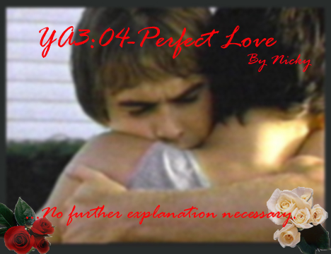 YA304: Perfect Love - banner by Nicky