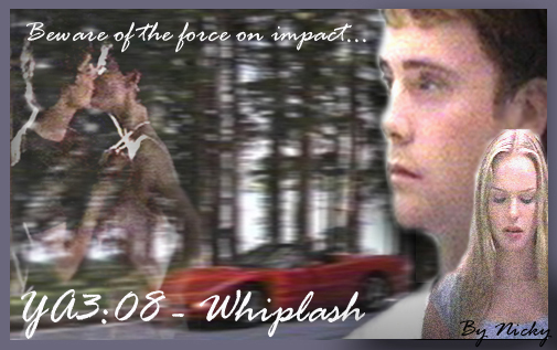 YA308: Whiplash - banner by Nicky