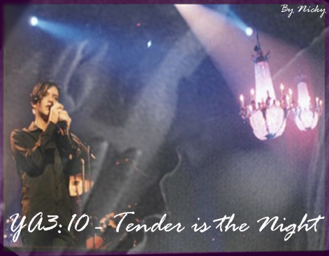 YA310: Tender is the Night - banner by Nicky