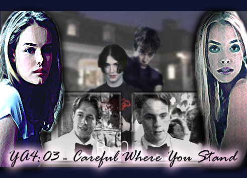 YA403: Careful Where You Stand - banner by Nicky