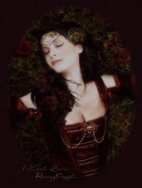 Enter Ravenz Dreams