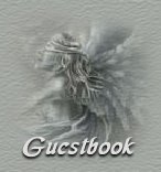 view my guestbook
