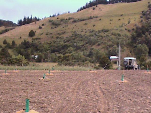 En arriere plan, la ferme (tache blanche de l'aut' cote de la gorge)