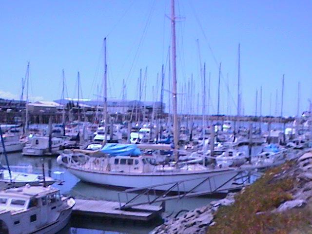 La marina