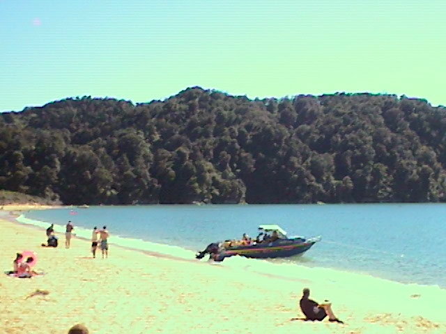 Totaranui beach d'un cote,