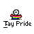 'Cause we all should have some Tay Pride