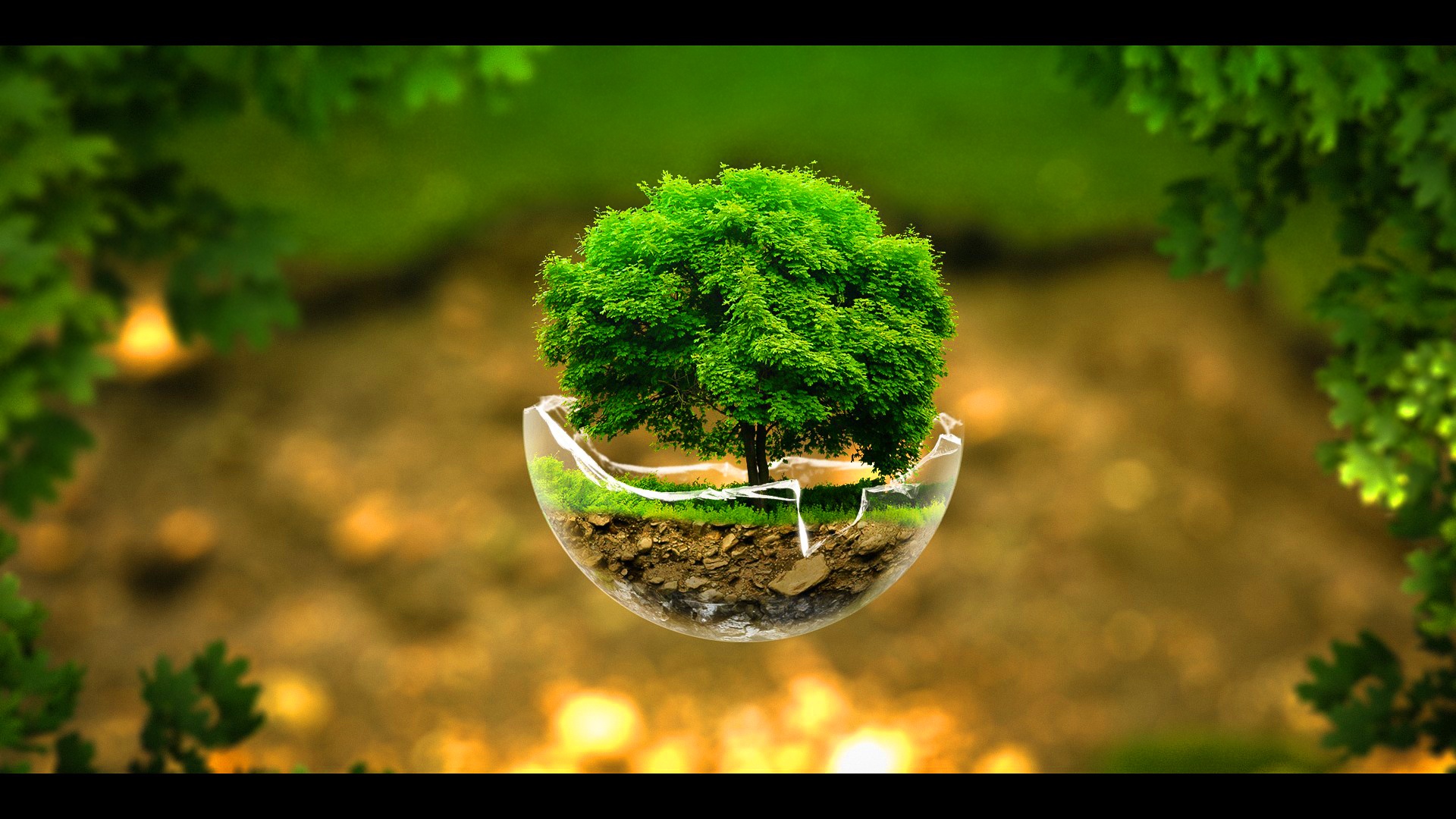 homepage banner