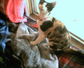 In Loving Memory. R.I.P. Jungle Jane. NO STEALING