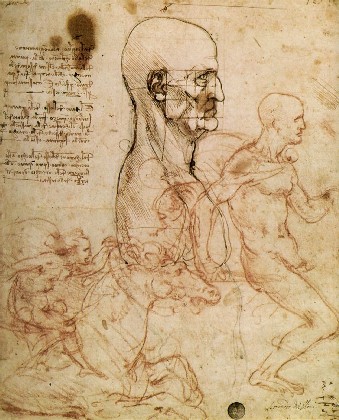 c. 1504-1506 - Sketches For The Battle Of Anghiari