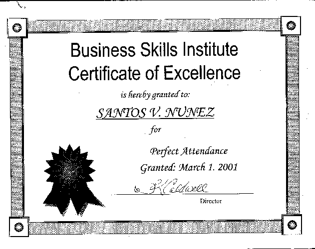 BSI - Business SKills Institute Certificate Of Excellence
