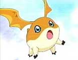 Patamon gears up for a boom bubble attack