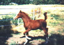 Our Mover!