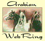 This site is another Oasis in the 
Arabian Horse WebRing