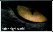 Enter Night World