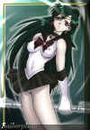 plu.jpg (64401 Byte)
