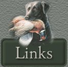 trav's links