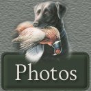 Pictures of Travis