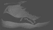 mjshoe11a.jpg (1686 bytes)