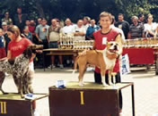 Junior handling first place