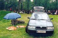 Time out Cacib Nis 2005