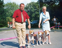 Best progeny group Belgrade Specialty 2004.