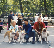 Best progeny group Belgrade Specialty 2004.