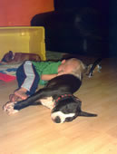 Siesta